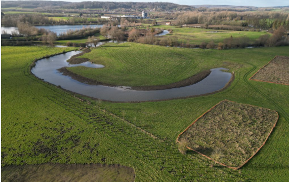 aménagement paysager