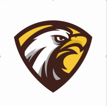 I.D.E  IMPACT DES ELITES