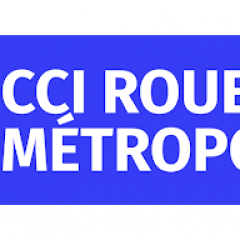 logo ccirm