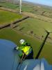 Phoenix staff in safety gear inspecting the top of a wind turbine above open green fields.